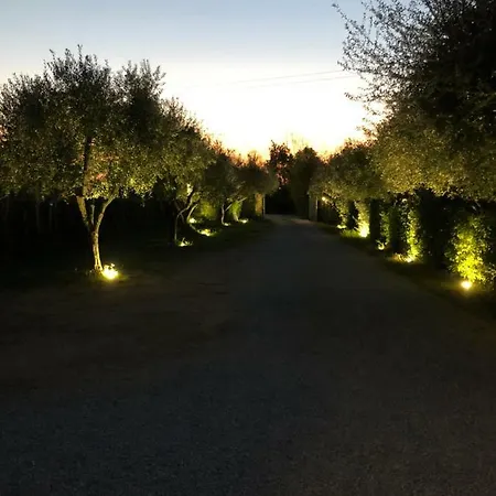 Leopoldo Bed & Breakfast Castagneto Carducci